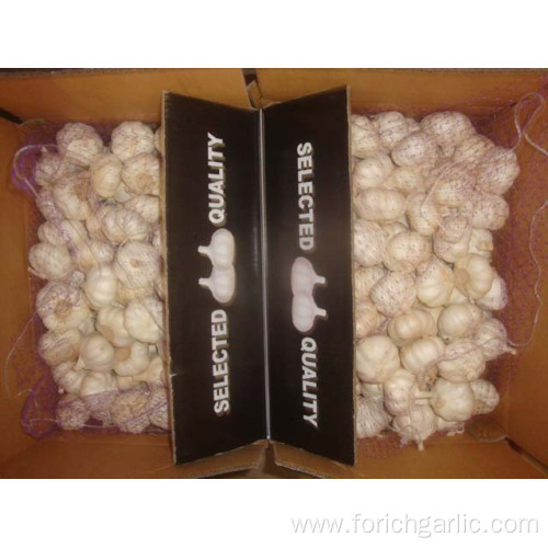 Fresh New Crop Pure White Garlic 5.0cm